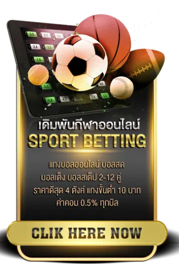 บาคาร่า ออนไลน์ เว็บตรง Sport